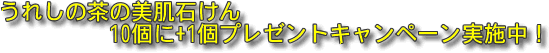 うれしの茶の美肌石けん10個注文につき1個をプレゼント!20個なら2個のプレゼント!とってもお得です。